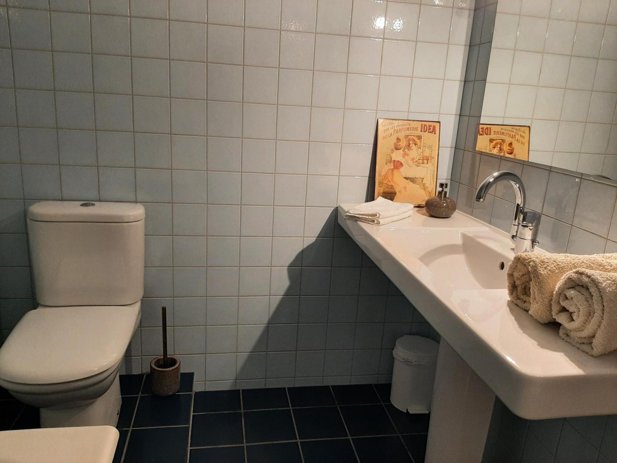 Chambre D'Hotes Charme Et Nature Vieille-Brioude Екстериор снимка